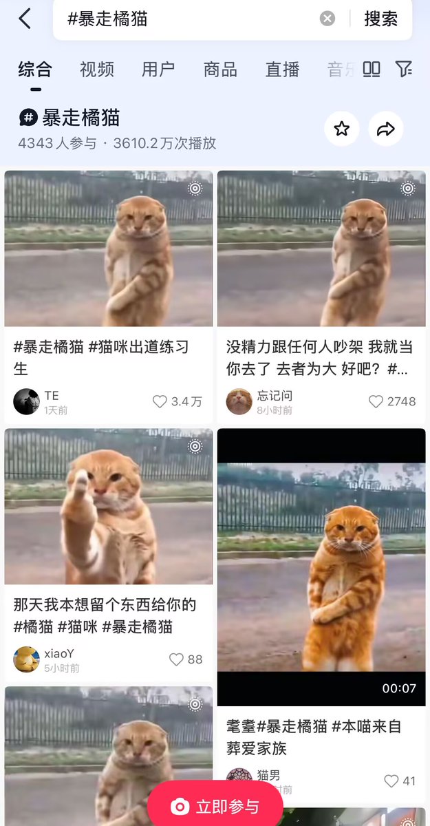 Vugnox's tweet photo. 昨天在小红书和抖音爆火的爆走橘猫， 最新最火的猫猫模因！多个平台流量爆炸了！被很多网友用来描述自己的生活状态！一定要发送GIF头像！
https://t.co/8jFXyZMht4 https://t.co/ENyWdyIyP9