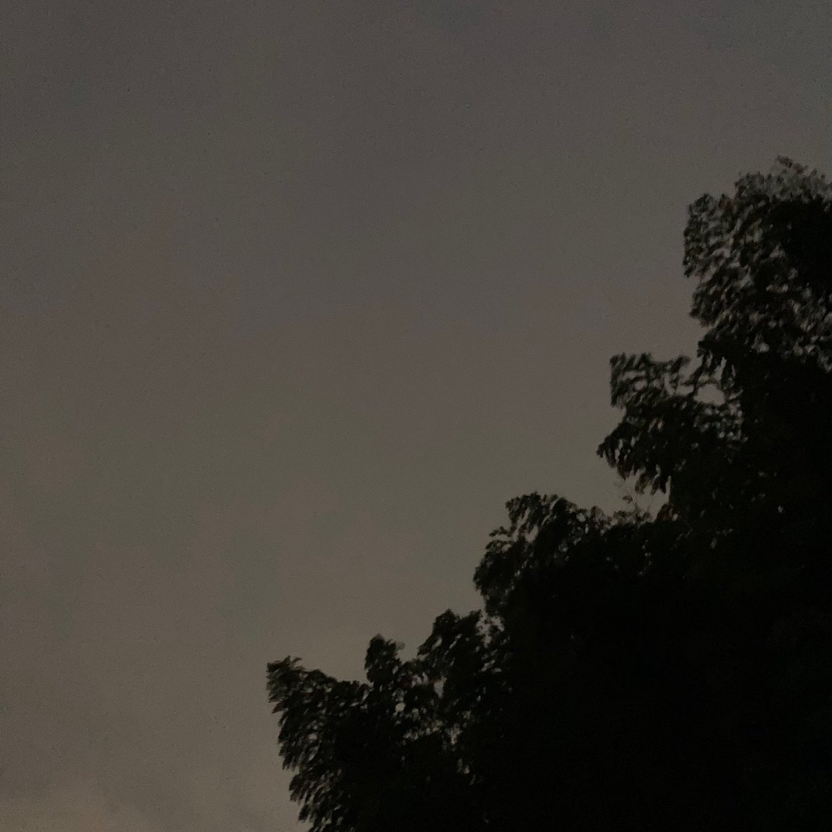 OKIA2010's tweet photo. 9月も、ありがとうございました。
来月も、よろしくお願いいたします。

今月は、　

雨・台風・地震・体調不良って言葉を

よく聞いたなぁ…。

来月は、

晴れ・洗濯日和・お出かけ　

なんで言葉が、

いっぱいじゃなくっても良いから、

普通に聞けたら良いなぁ♪     

(๑˃̵ᴗ˂̵) https://t.co/B7b8iBd5nW