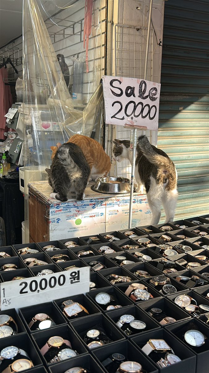 kimguguen's tweet photo. 시계 가게 점심시간이라 응대를 안 해주세요 https://t.co/N9wCanLs7c