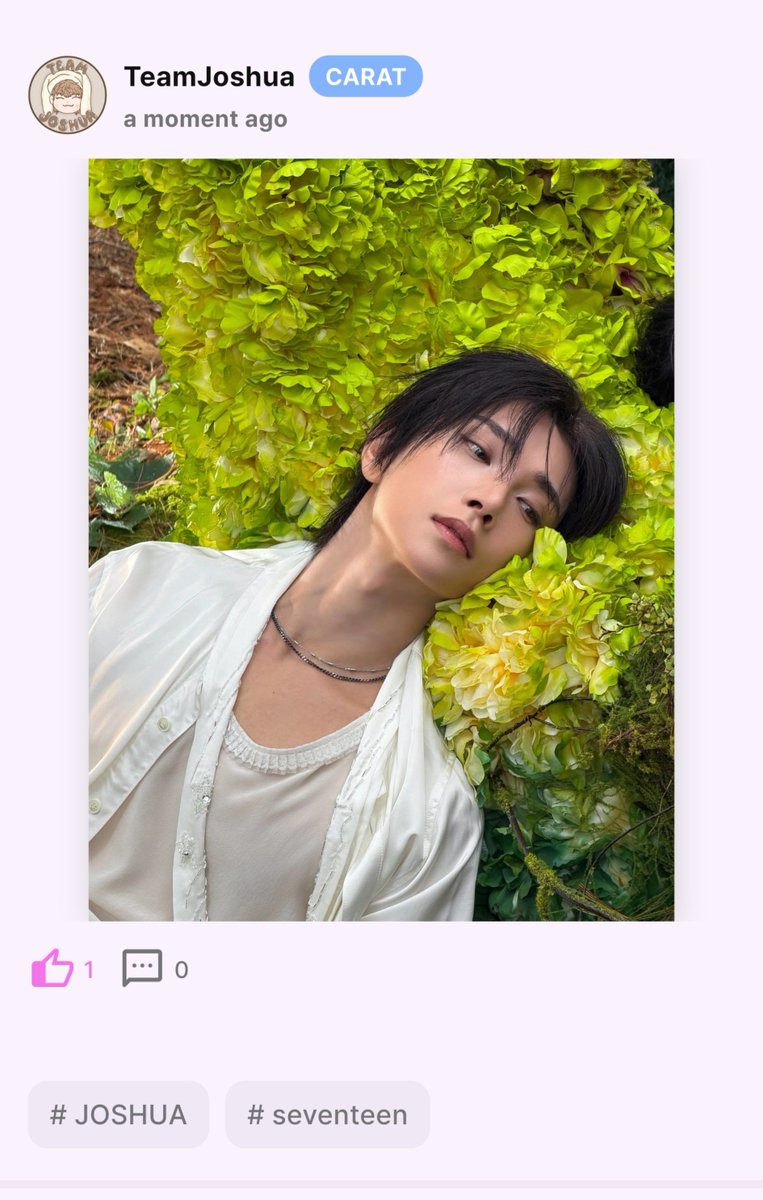 TeamJoshuaHong's tweet photo. [💓IDOKI] 

CARATDEUL! JOSHUSHUSHUS!
Help us get the popular post reward on idoki by liking this post!

🎯200 likes 
🖇https://t.co/EPVrxpfZMd

#Vote4HJS #JOSHUA #조슈아 #SEVENTEEN #세븐틴  @pledis_17 https://t.co/rhmbL0MZko