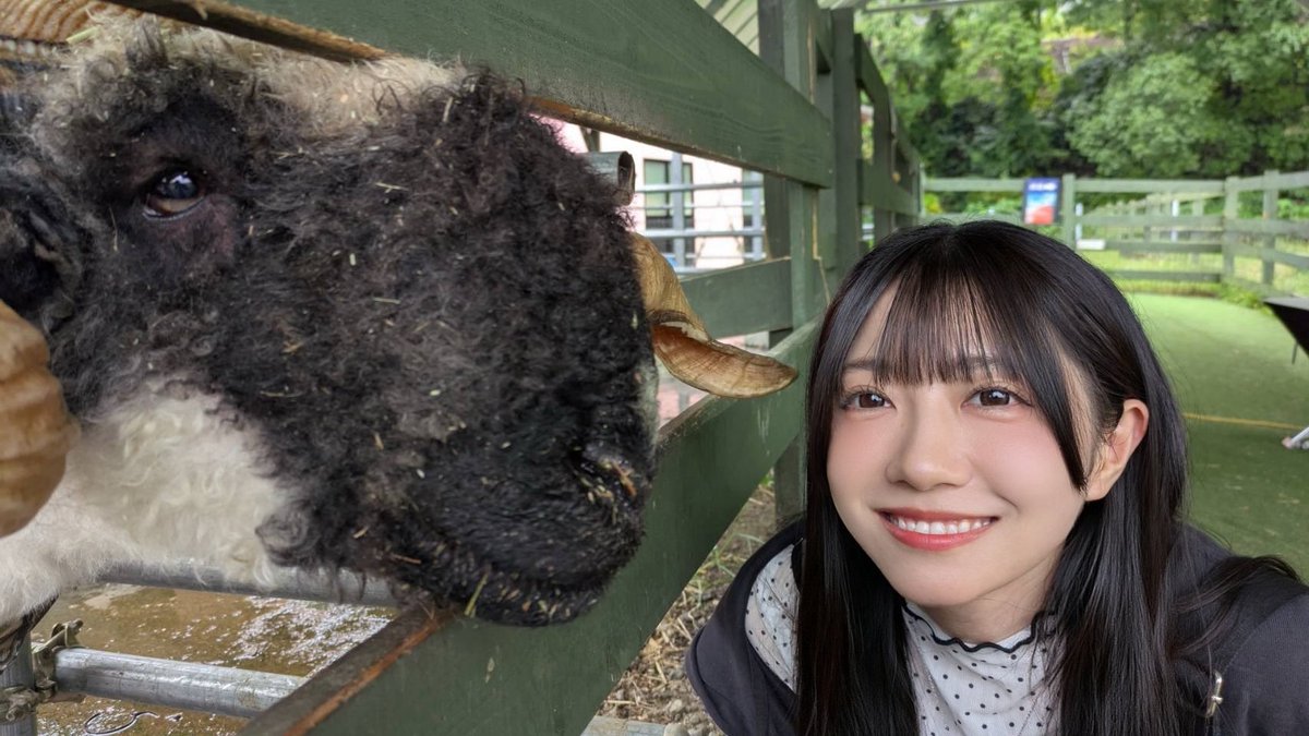 RWR_akina's tweet photo. 🐏♡ https://t.co/251gmtMDhS