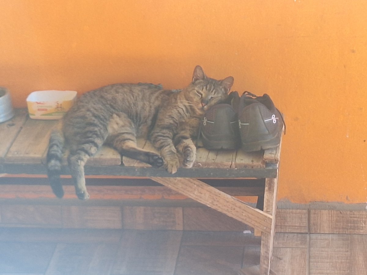 pocorvo's tweet photo. Eu n consigo ver boa intenção na porra do instagram n deixar eu deixar de seguir pessoas em massa de uma vez, me forçando à selecionar um por um https://t.co/CBsV69RSWl