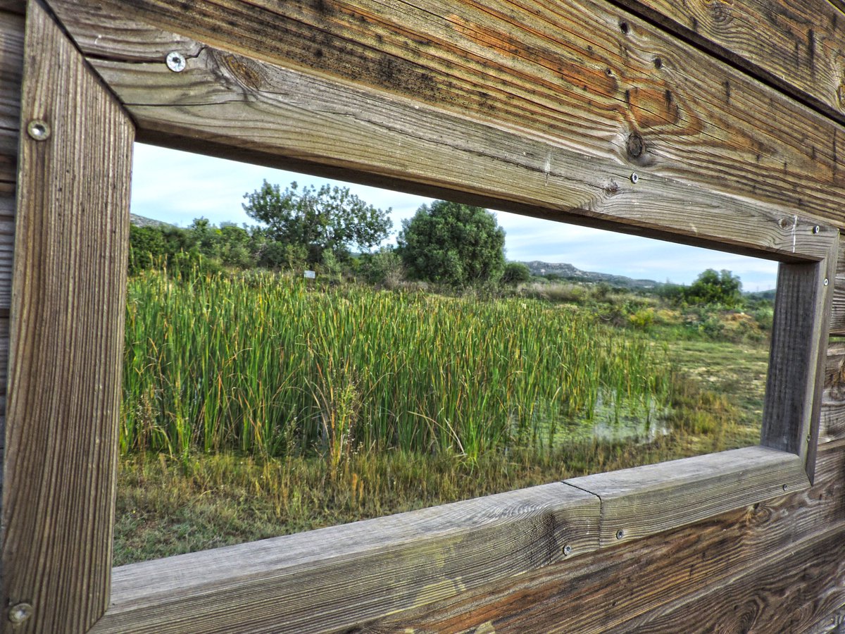 lampollaturisme's tweet photo. 💦🌿 Les basses naturals de l’Ampolla, petits oasis mediterranis 💙
#lAmpolla #DeltadelEbre #TerresdelEbre #CatalunyaExperience #inLOVEwithCatalonia #VilesMarineres
@terresebretur @catexperience https://t.co/g5NVfxdXP5