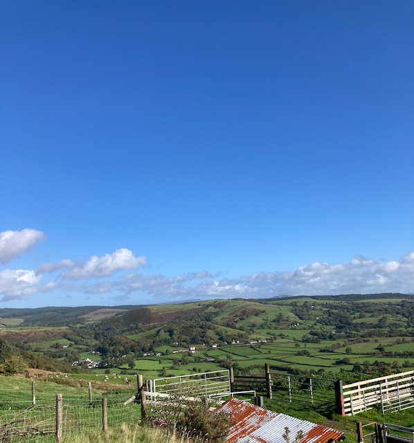 BorderSoftware's tweet photo. What a glorious day here at #Bordersoftware
but we are still working hard!
Handmade weigh crates, EID readers, weighheads and more including #FarmIT3000 a farming software that meets all your farming needs✅
Have a great day😀 https://t.co/ax41585cJ5