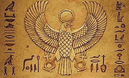 Mklllo9's tweet photo. @AbuQadha @FaridaMasri طيب النسور و العقبان و الصقور من الطيور الجارحة الاصلية في مصر و حاجة من بيئتنا فعليا بطل جهل و روح ابحث 

و بالمناسبه الجاموس من بيئتنا الحالية لكن فالأصل هو حيوان دخيل، مصر دخلها الجاموس مع التجاره و مفيش جاموس مصري أصلي من الأساس بس فيه أبقار https://t.co/RZ8cWHRSrt