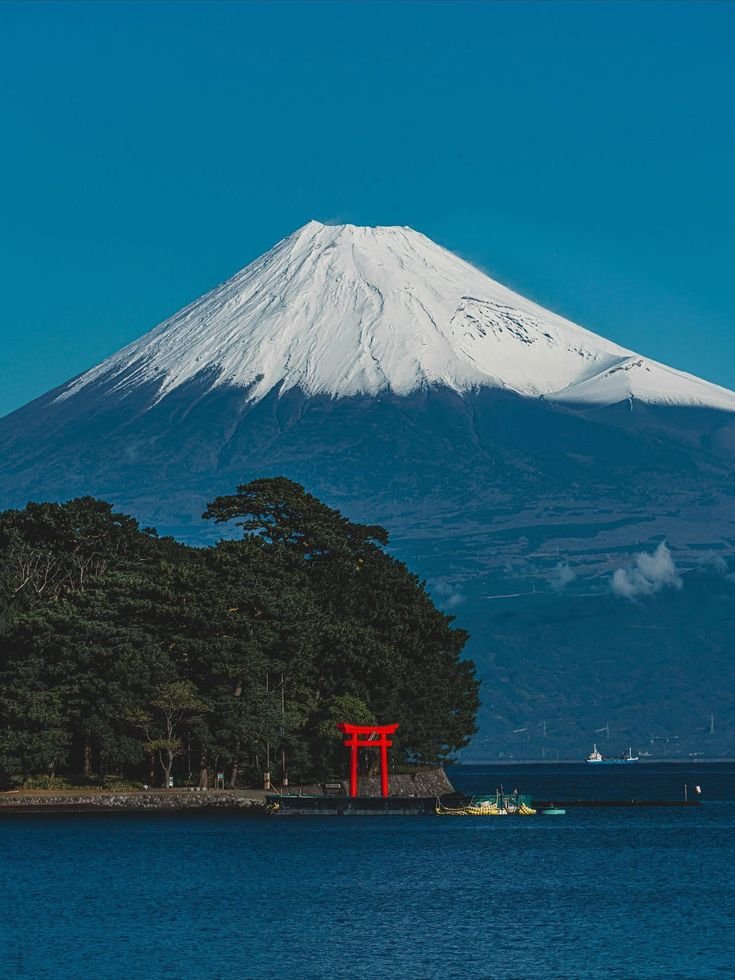 echoesofworld's tweet photo. Tokyo, Japan https://t.co/ybGmBvIS3B