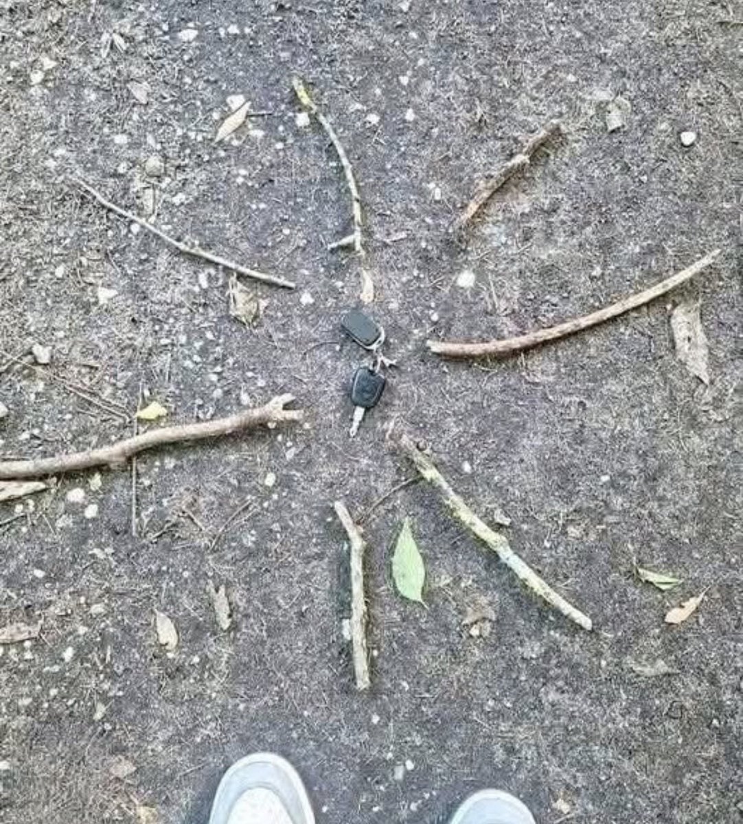 Visionaryvoid's tweet photo. Today I lost my car keys while running far in the forest.

At the end of my run—breathless and filled with anxiety—I retraced my steps, preparing for the worst...
But then, among the trees, I found something unexpected:
a small circle made of branches, like a handmade compass.

And in the middle, perfectly placed, is my key.

Someone-a kind stranger-had found them.

And leave a simple, intelligent, and beautiful mark.

A silent movement, but full of humanity.
In a world that moves fast and often forgets to care about others,
such a gesture speaks louder than a thousand words.

To whoever you are: thank you. Today, you are my little miracle in the forest