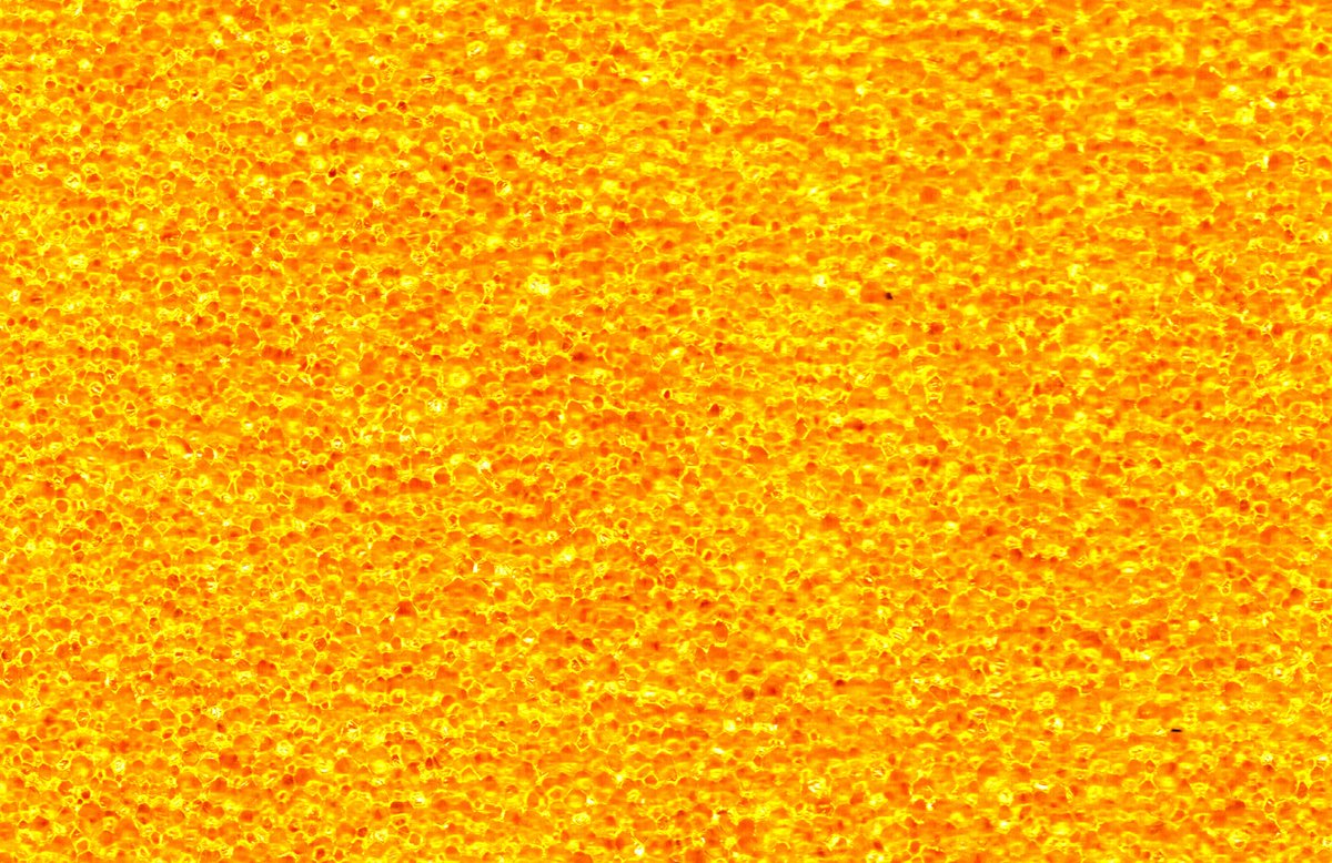 dgerogpt's tweet photo. Everyday structure revealed
Close-up of a new kitchen sponge (soft side)
Thousands of nearly identical bubbles form regular foam
Captured the easy yet effective way – with a flatbed scanner
#Macro #ScannerPhotography #FoamStructure #ExperimentalPhotography #CitizenScience https://t.co/UGWPdX4FMi