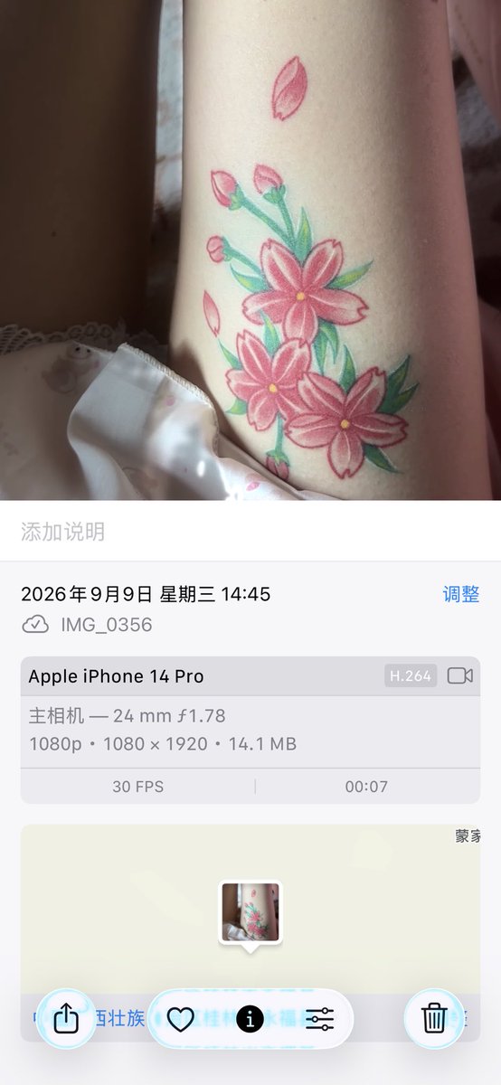dnj8k's tweet photo. @yanglaotie 😹你也长点脑子求你了行不行 腿纹身都一样老说我盗图干啥呢 https://t.co/xzkwjpG7xg