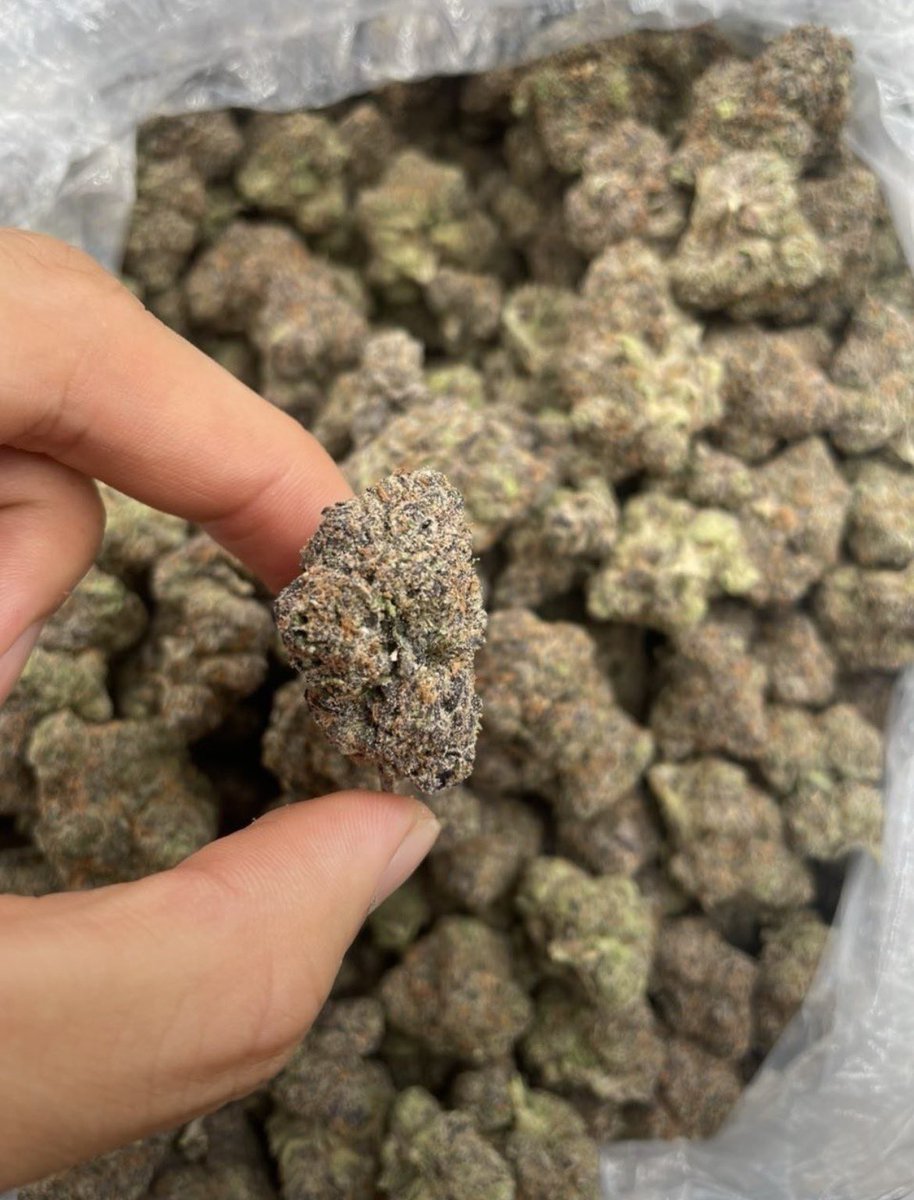 Dcosmickush's tweet photo. King Cherry Gelato 🌸 🍒 
$900
Real candy 🍬 👃

AVAILABLE IN BIT N BULK 📦
☎️ORDER ON WHATSAPP
+1 (430) 588-6910

NEED SOMETHING ELSE?
SHOP ON MY DISCORD 🏪
https://t.co/RwzZfO1UTa https://t.co/lwMYPnRsdf