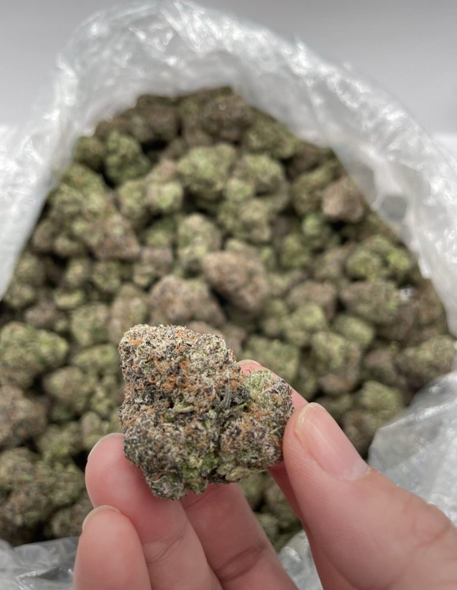 Dcosmickush's tweet photo. King Cherry Gelato 🌸 🍒 
$900
Real candy 🍬 👃

AVAILABLE IN BIT N BULK 📦
☎️ORDER ON WHATSAPP
+1 (430) 588-6910

NEED SOMETHING ELSE?
SHOP ON MY DISCORD 🏪
https://t.co/RwzZfO1UTa https://t.co/lwMYPnRsdf