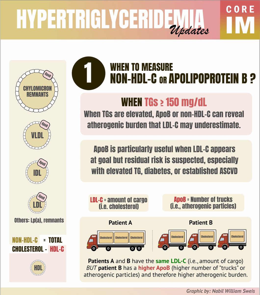 COREIMpodcast's tweet photo. 1/ 🚨NEW: Updates in Triglycerides
 
A practical approach to elevated TGs, from knowing when to check ApoB or non-HDL-C to choosing lifestyle changes, medications, and when to suspect an underlying genetic disorder. 

🎧: https://t.co/JdGmmyAB5K
📝: https://t.co/nsq8xKzhrg https://t.co/eDnEhmHecu