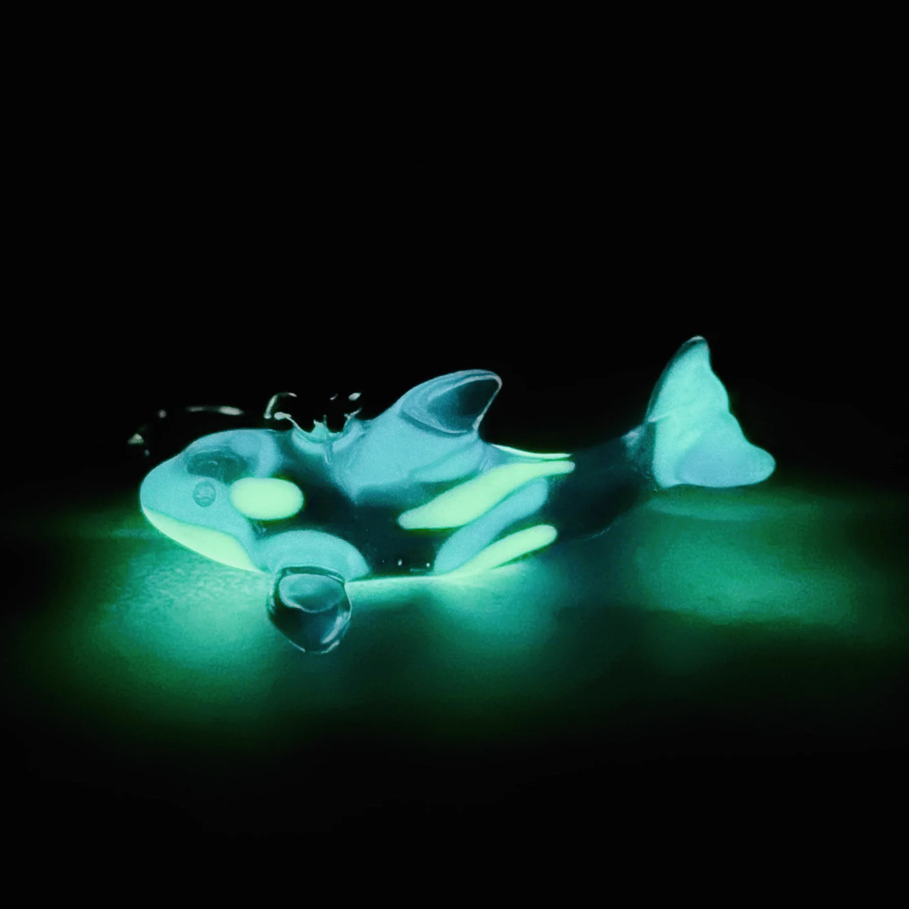 Camelia@海の生き物レジン作家🐬 on X: 