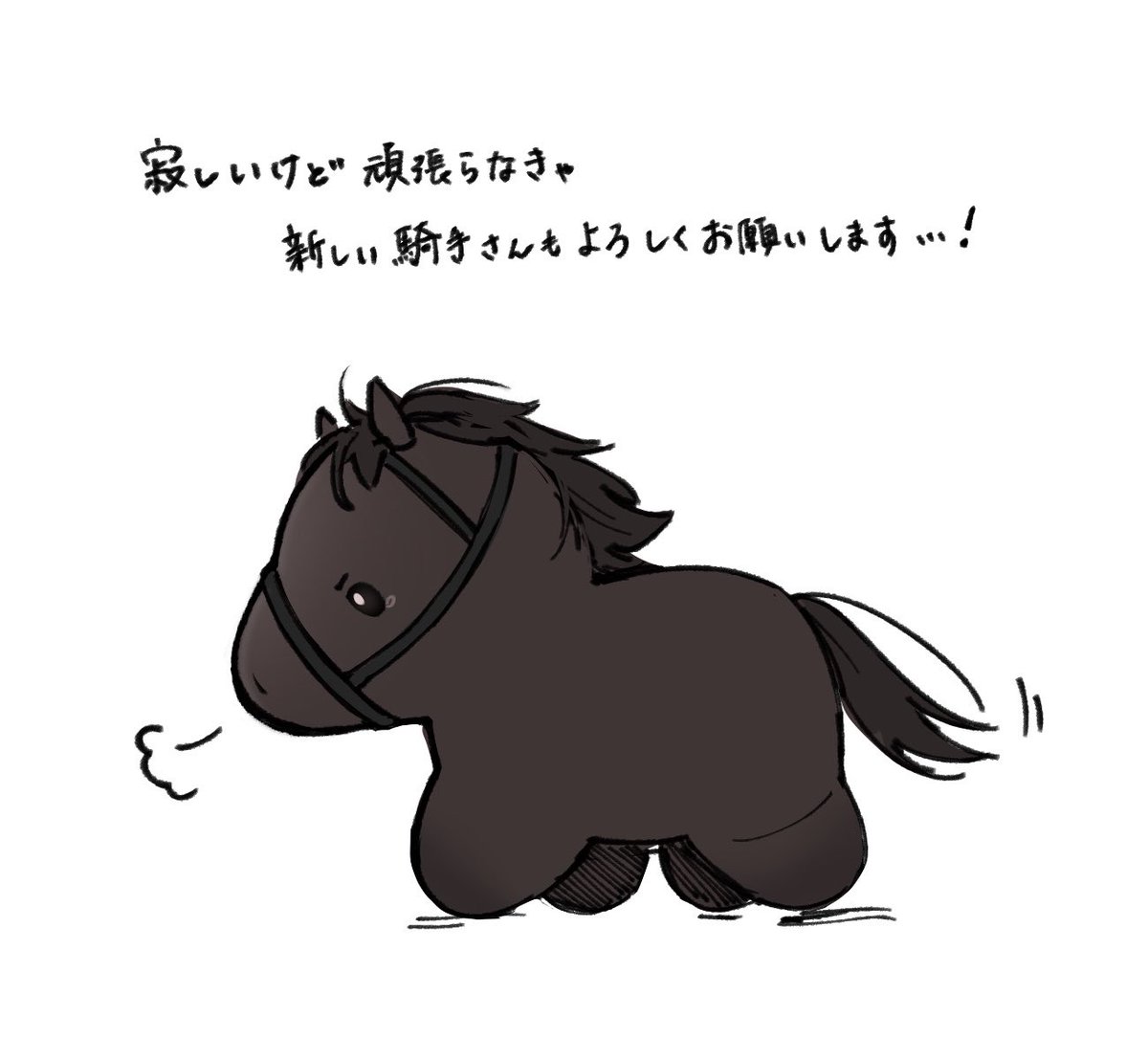 reito_uma's tweet photo. 切ない気持ちはあるけど、元気に競走馬生を走り切ってくれればそれで充分です
秋古馬戦線頑張れクロワ！ https://t.co/X72wSu4mAE