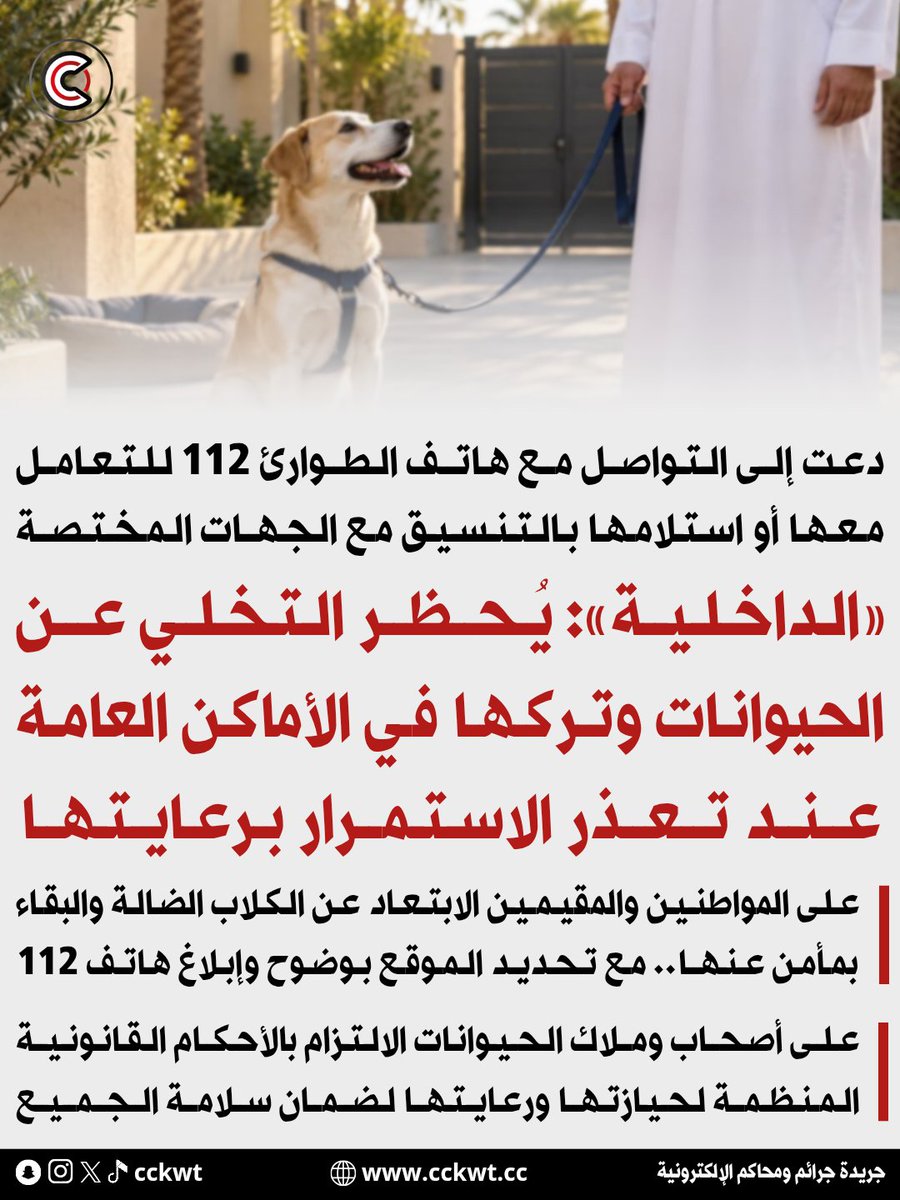 cckwt's tweet photo. «الداخلية»: يحظر التخلي عن الحيوانات وتركها في الأماكن العامة عند تعذر الاستمرار برعايتها

• دعت إلى التواصل مع هاتف الطوارئ 112 للتعامل معها أو استلامها بالتنسيق مع الجهات المختصة

• على المواطنين والمقيمين الابتعاد عن الكلاب الضالة والبقاء بمأمن عنها.. مع تحديد الموقع بوضوح وإبلاغ هاتف 112

• على أصحاب وملاك الحيوانات الالتزام بالأحكام القانونية المنظمة لحيازتها ورعايتها لضمان سلامة الجميع

https://t.co/oI7MxIneXW