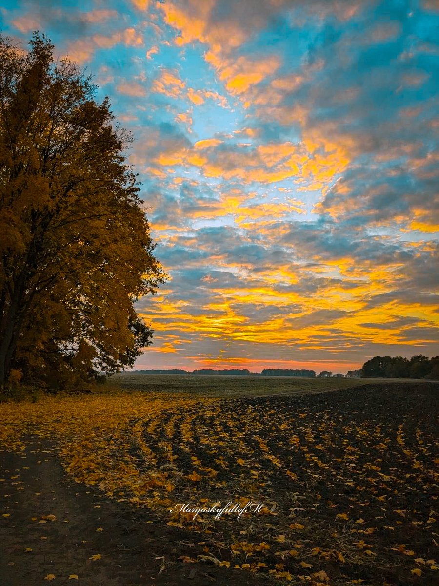 MaryaskyfullofM's tweet photo. Finally,my season has arrived 🍂🤎 https://t.co/M3r5ahQex0