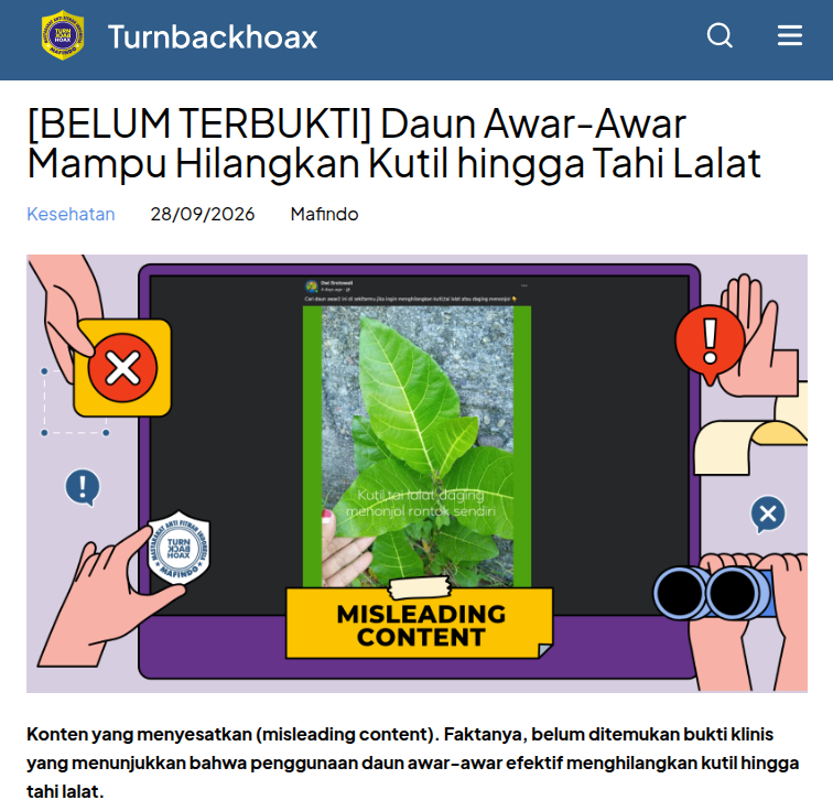 TurnBackHoax's tweet photo. ❓ Daun Awar-Awar Mampu Hilangkan Kutil hingga Tahi Lalat 

✅ Konten yang menyesatkan (misleading content). Faktanya, belum ditemukan bukti klinis yang menunjukkan bahwa penggunaan daun awar-awar efektif menghilangkan kutil hingga tahi lalat. 

🔗 Selengkapnya di https://t.co/J1xGmLA4dK #LawanHoax #TurnBackHoax #MAFINDO