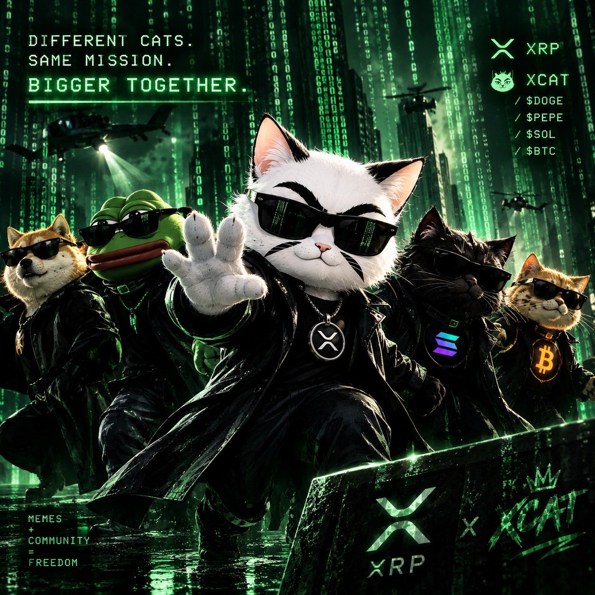 worldfallinwepr's tweet photo. Welcome 🤝 @memekingdom 
@XRPCatSolana https://t.co/zcwKQIkeef