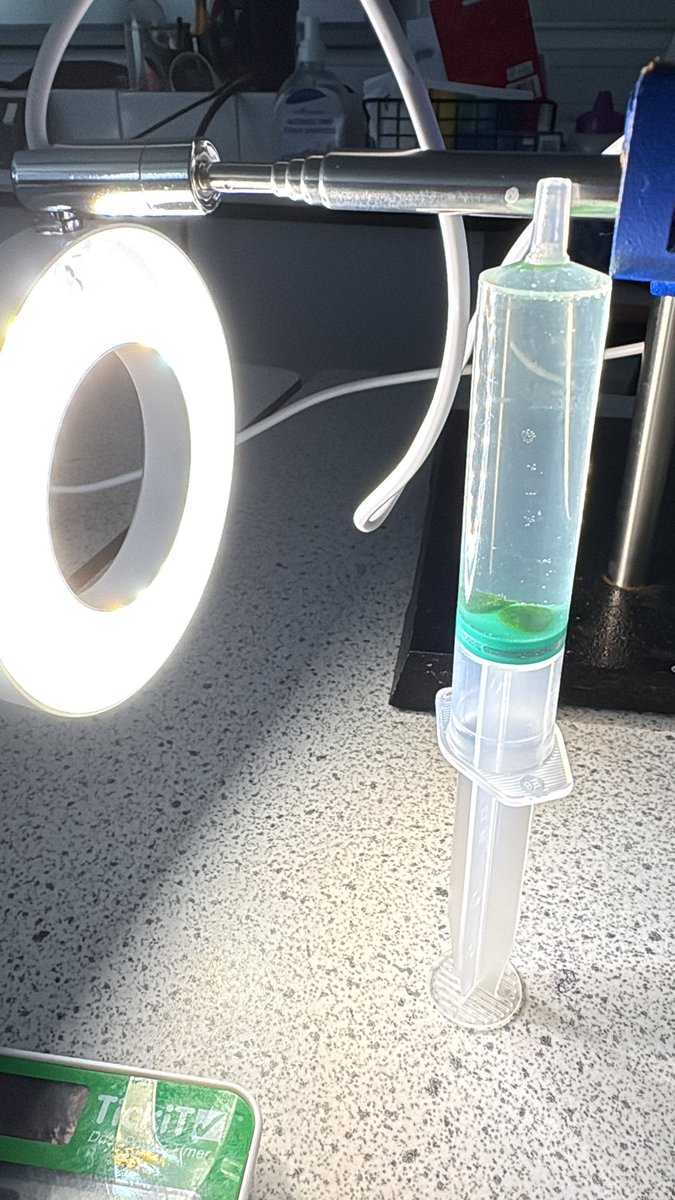 teachyscience's tweet photo. Trying to do the leaf discs practical - testing for year 13 to try - but doesn’t seem to be working. Trying with spinach today - get as far as removing the air but then nothing happens! Any ideas? @chatbiology @SAPS_News ??? https://t.co/8g2BhQ7tjR