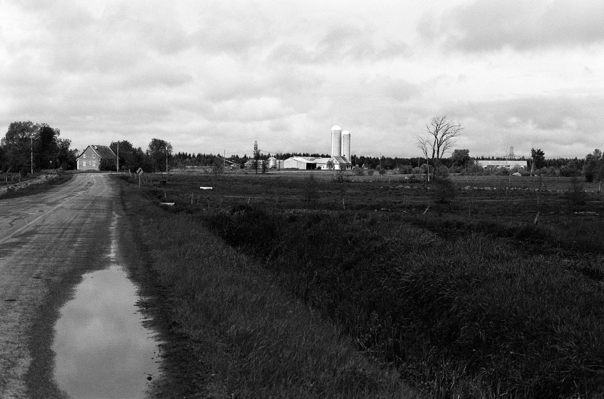 aupaysdusoir's tweet photo. Campagne charlevoisienne #quebec #charlevoix #canonet #ilford https://t.co/wyeaLF39AW