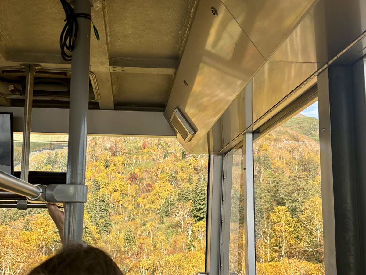acieloaperto's tweet photo. 旭岳の紅葉が見頃🍁

滞在中、唯一の晴れ予報が今日だったので行ってきた。
天気にも恵まれ、一足早い紅葉を堪能😌💓
旭岳、かっこよすぎてびっくりした。
レベル1の散策路は所要時間1時間半くらいでアップダウンも控えめで歩きやすい。

他の季節の旭岳も見てみたい。 https://t.co/jeVbIxgtSe