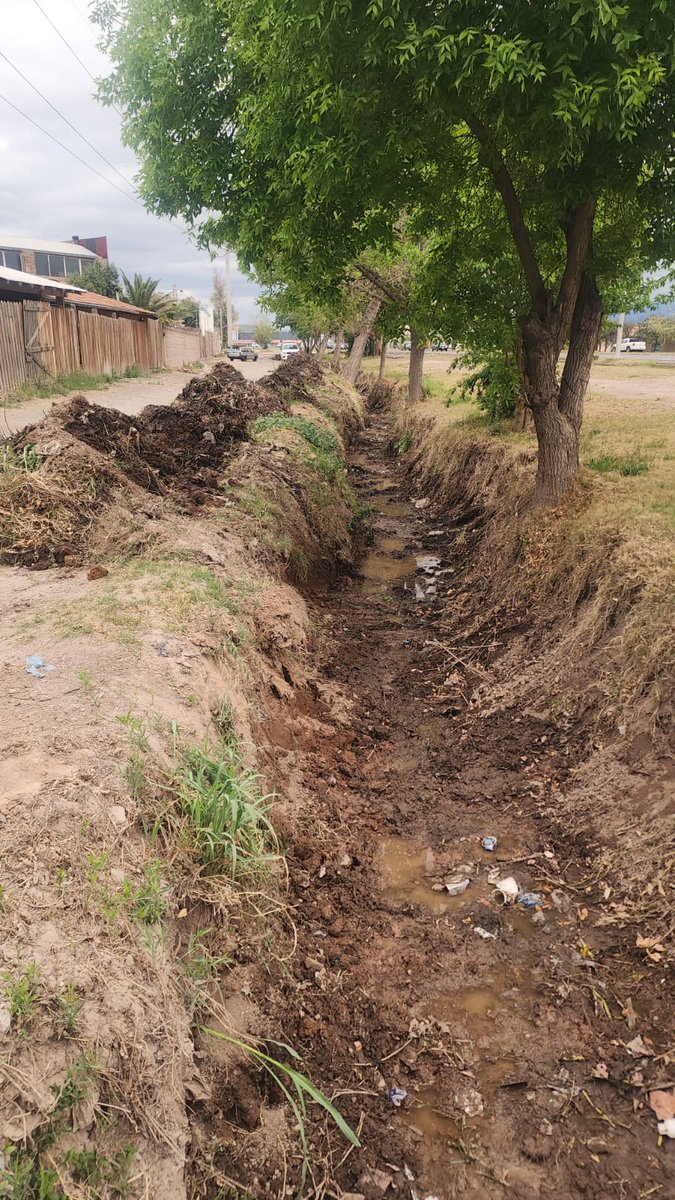 lopresti_lh's tweet photo. ⛈️ De cara al fenómeno de El Niño, todos los días trabajamos en distintos puntos de Las Heras con tareas de limpieza y obras preventivas. Esta vez limpiamos el canal aluvional Rasquín, en Ruta 40 y General Paz, para mejorar el escurrimiento del agua y reducir riesgos ante posibles tormentas.
👉🏼 Desde el municipio ya hicimos nuestra parte. Ahora es con vos: no tires basura ni escombros en canales y acequias. Mantenerlos limpios y cuidar Las Heras es responsabilidad de todos.