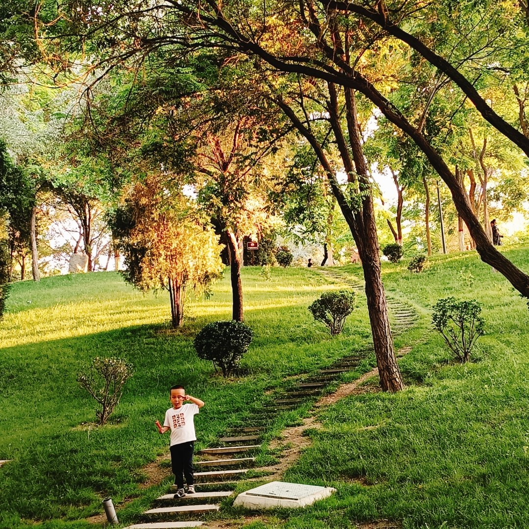 LurleneWarl2's tweet photo. Hoy hace un sol perfecto para salir a caminar por el parque! ， https://t.co/M3lXixa8ZQ