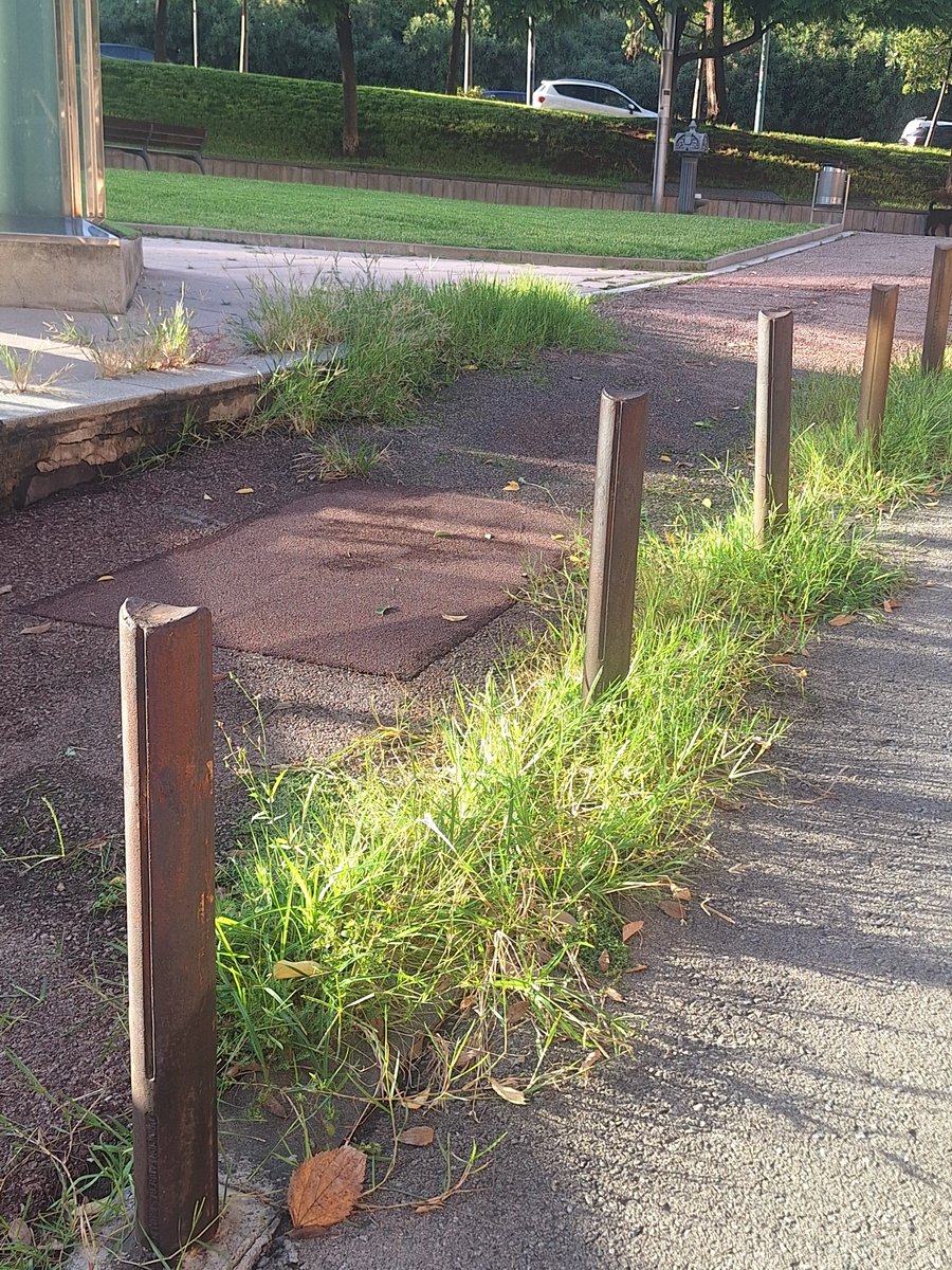 FrancescRibot's tweet photo. El manteniment de l espai públic a #Badalona ...es mooolt deficient.
El banc està al carrer Juli Garreta 4- 8, la selva una mica mès amunt i la selva/ sorral al Parc del davant.
Sr #Albiol menys tardeos i mès manteniment.
I desprès tota la música que vulgueu https://t.co/7elYWDOp4I