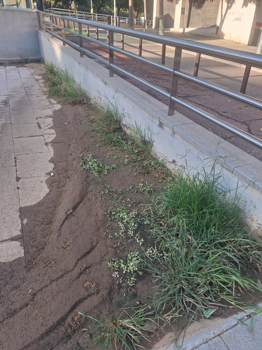 FrancescRibot's tweet photo. El manteniment de l espai públic a #Badalona ...es mooolt deficient.
El banc està al carrer Juli Garreta 4- 8, la selva una mica mès amunt i la selva/ sorral al Parc del davant.
Sr #Albiol menys tardeos i mès manteniment.
I desprès tota la música que vulgueu https://t.co/7elYWDOp4I