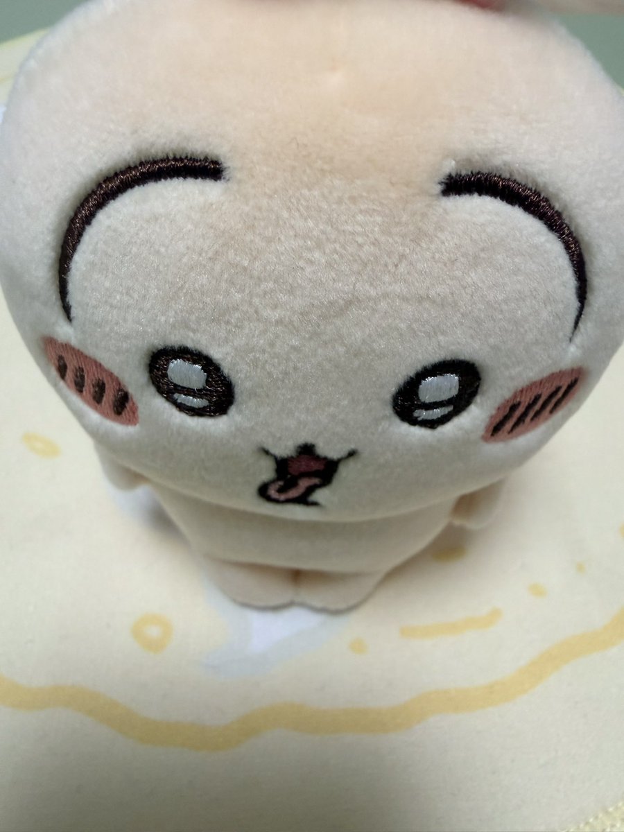 scent_grass's tweet photo. 자기 옷 만드는 거 보는 우사기 https://t.co/VUCrc3yjuJ