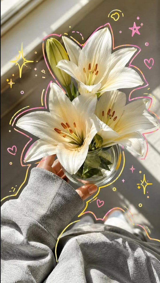 FLOWERS3700's tweet photo. https://t.co/iuh5x9t5Pu