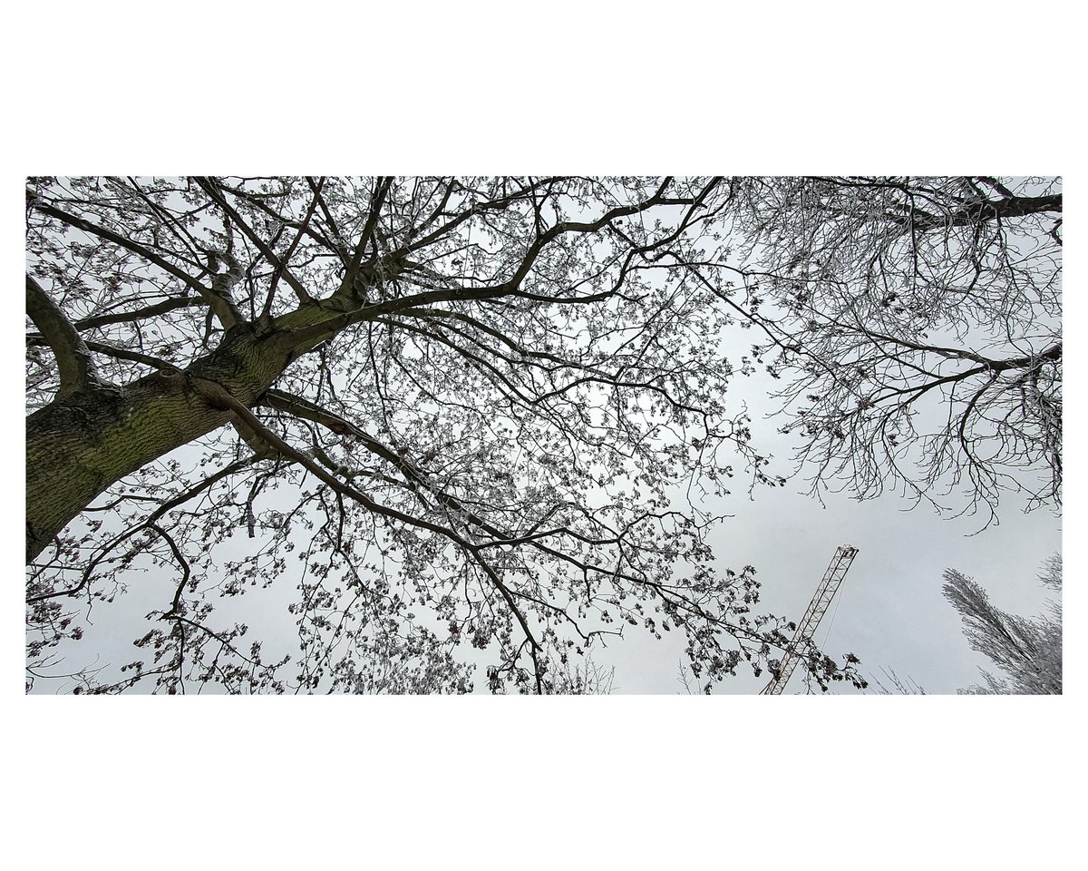 so_dianare's tweet photo. El Cielo Obstruido π³
#photography #SoDianare #fotosquecuranelcorazon #photodianare #GalaxyNote10Plus https://t.co/8dzit0q0tH