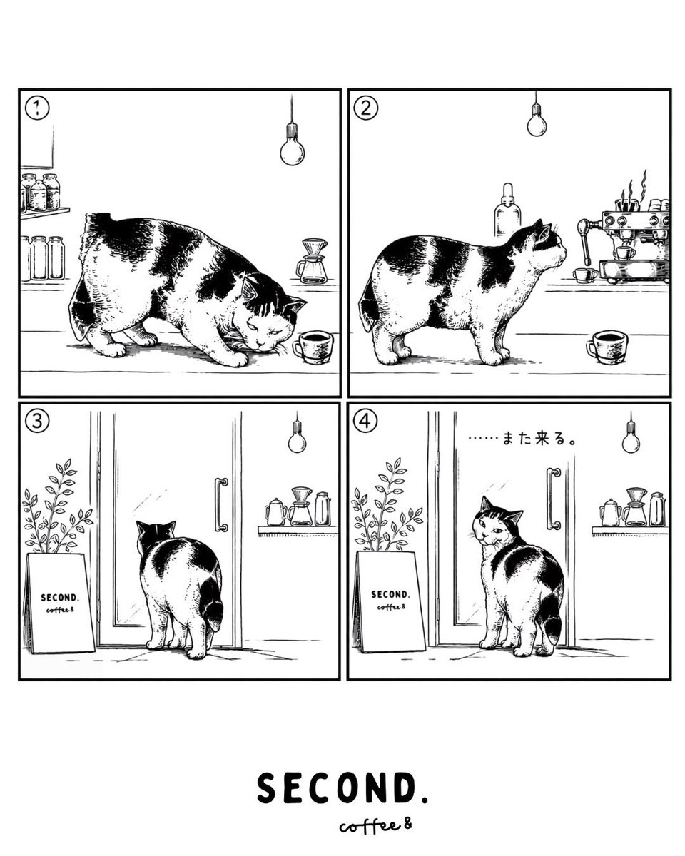 secondmanga's tweet photo. 今日も、いつもの一杯を。☕️
SECOND. coffee&amp;｜4コマ漫画

SECOND. coffee&amp;の住人
ネコ

#4コマ漫画 #コーヒー #manga #coffee #secondcoffee https://t.co/StPhdBTXu8