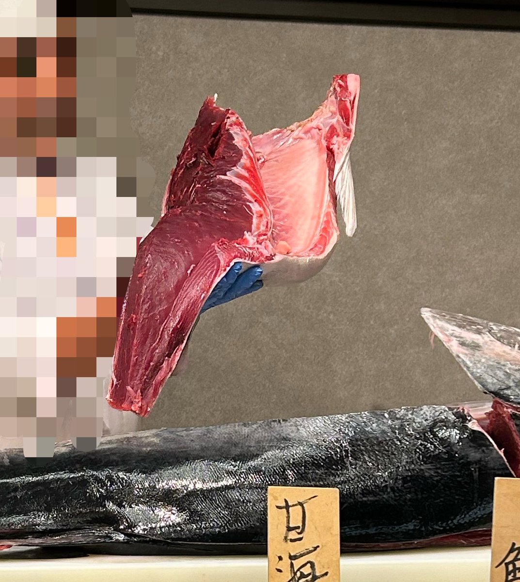 mykm_cham's tweet photo. ビュッフェでマグロの解体ショーするなんて思わないやん？？？？ｳﾒｳﾒ https://t.co/mDLku38Zxh