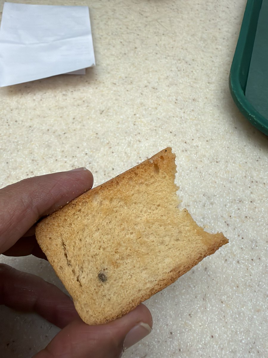 wordsofmanoj's tweet photo. @Chaayos you are serving insects in your suji rusk. Phoenix MarketCity pune. https://t.co/DS2BeqlHtl