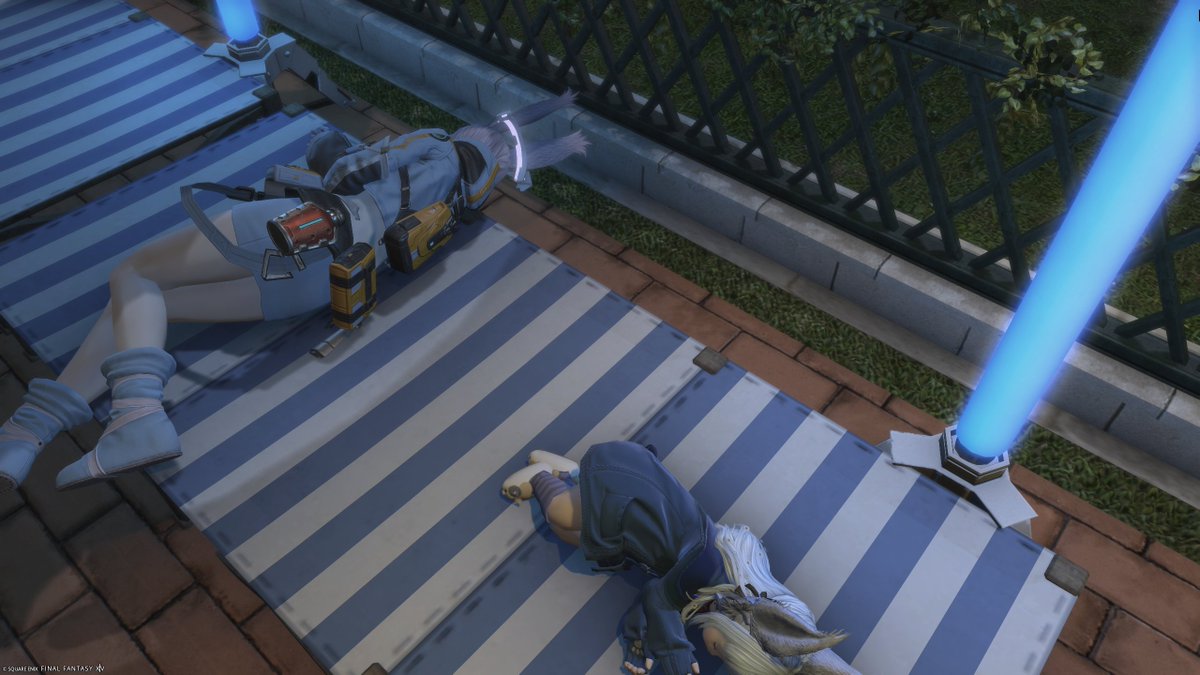 _luna_butterfly's tweet photo. ミーちゃんも寝た・・・・
向きおかしいwwwww
早めについた二人の戯れ

＃有料対話店
＃butterfly_ff14 https://t.co/kQ448vuiuc