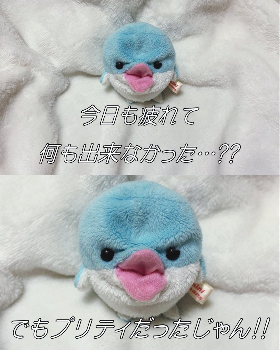 lady_chisaine's tweet photo. 人類みなプリティ🫶 https://t.co/Mj70nWCBvr