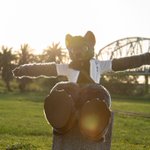 Photo by CT the Wolf➡️Infurnity (@CTtheWolf)