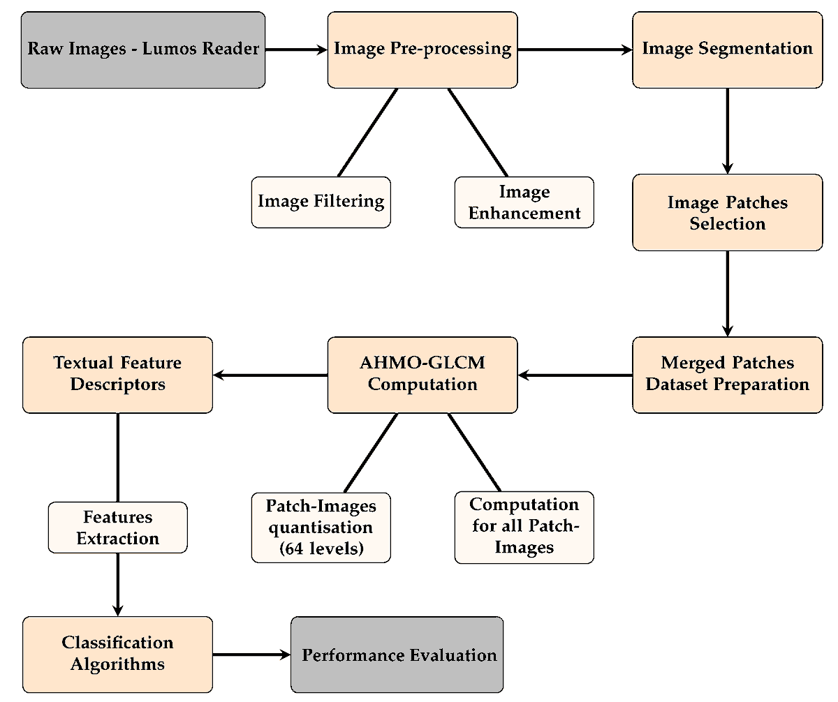 Biosensors_MDPI's tweet photo. 📣Call for Reading:
#Article
Enhancing #Sensitivity of #Point-of-#Care #Thyroid #Diagnosis via #Computational Analysis of #Lateral #Flow #Assay #Images Using Novel Textural Features and #Hybrid-#AI #Models
By McLaughlin, J. et al.
https://t.co/sRIrG78NUP
#CNN #LFA #POC https://t.co/Qt3ezy5Gso