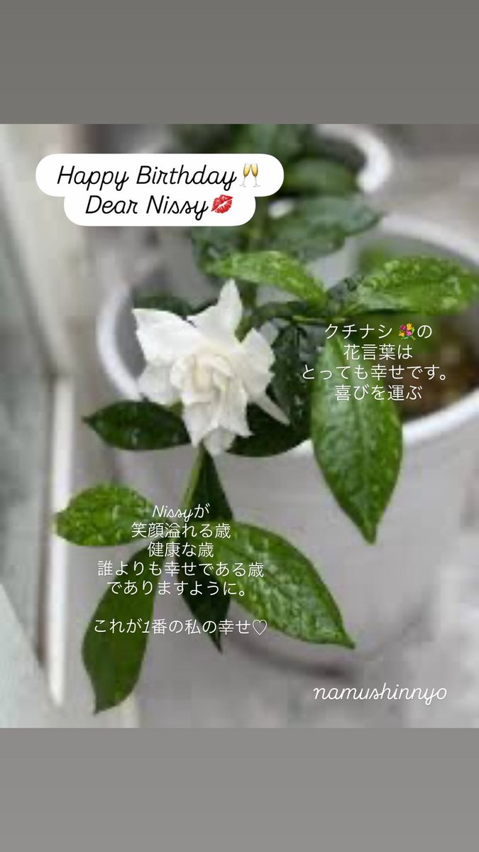 UzaV4sw's tweet photo. #Nissyに想いを込めて差し出す一輪のお花
#Nissy40thbirthday_1輪ずつを花束に💐
#西島隆弘誕生祭🪄
#Nissy0930🎩
#Nissy40thBirthday💋
#NES💫
#NESnbco.🌟
#Nissy
@NissyStaff

#NBE https://t.co/rLdkMhc2Oj
