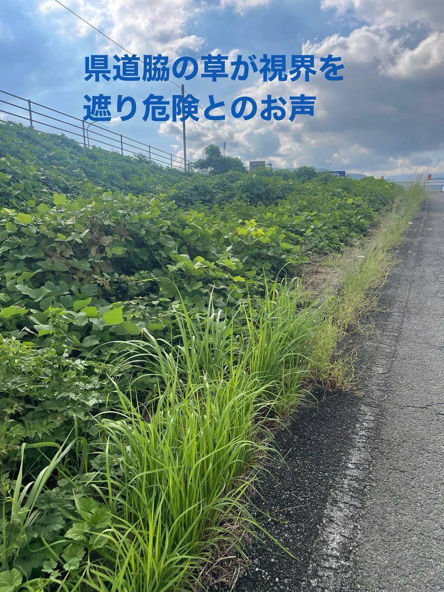 fmayumisan's tweet photo. 今日も朝のご挨拶からスタート。

今日は「雑草」に関する市民相談の現地確認へ。
「歩道に草が伸びて歩きにくい」
「県道のカーブで草が視界を遮り危険」
とのお声をいただきました。

毎日の暮らしの安全に直結する大切なお声です。
現地を確認し、それぞれ県・担当課につないで対応をお願いします。

#徳島市 #徳島市議会議員 #藤田まゆみ