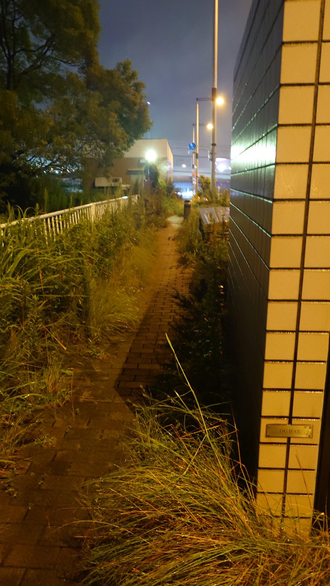 Letugo_Gmen's tweet photo. お台場の歩道ひどすぎる https://t.co/L6TYYs6evq