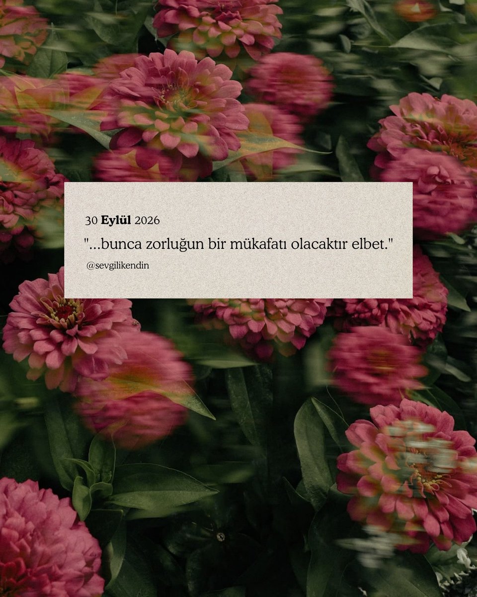 sevgilikendin's tweet photo. elbet https://t.co/hSMcBv53xL