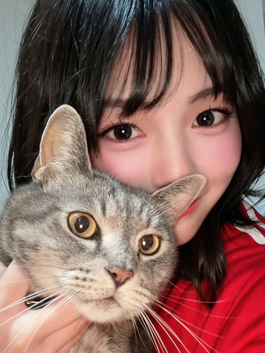starnote_rina's tweet photo. 地元塩竈に帰ってます🐟🌸
次男坊の小次郎くんだよ( ΦωΦ ) https://t.co/o0sdbEsomp