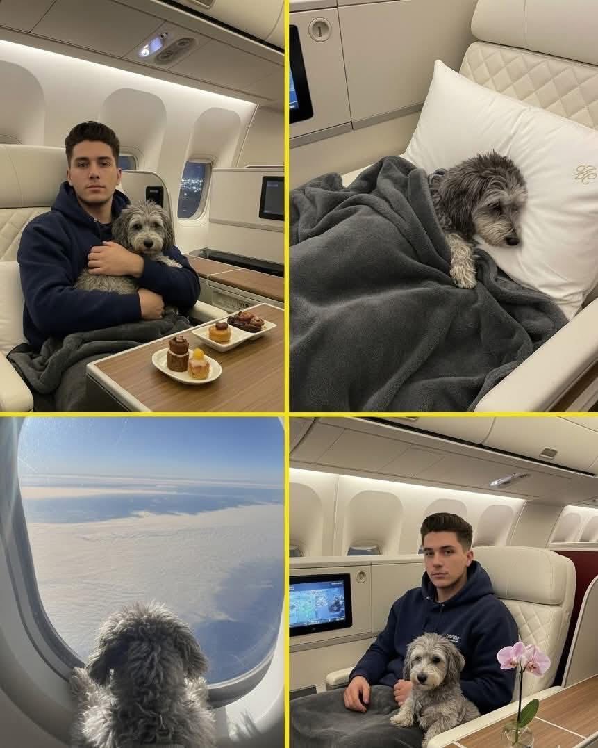 Indie5051's tweet photo. Joven es criticado en redes, por pagarle a su perrito un vuelo  en primer clase. https://t.co/RR1rGQHDuB