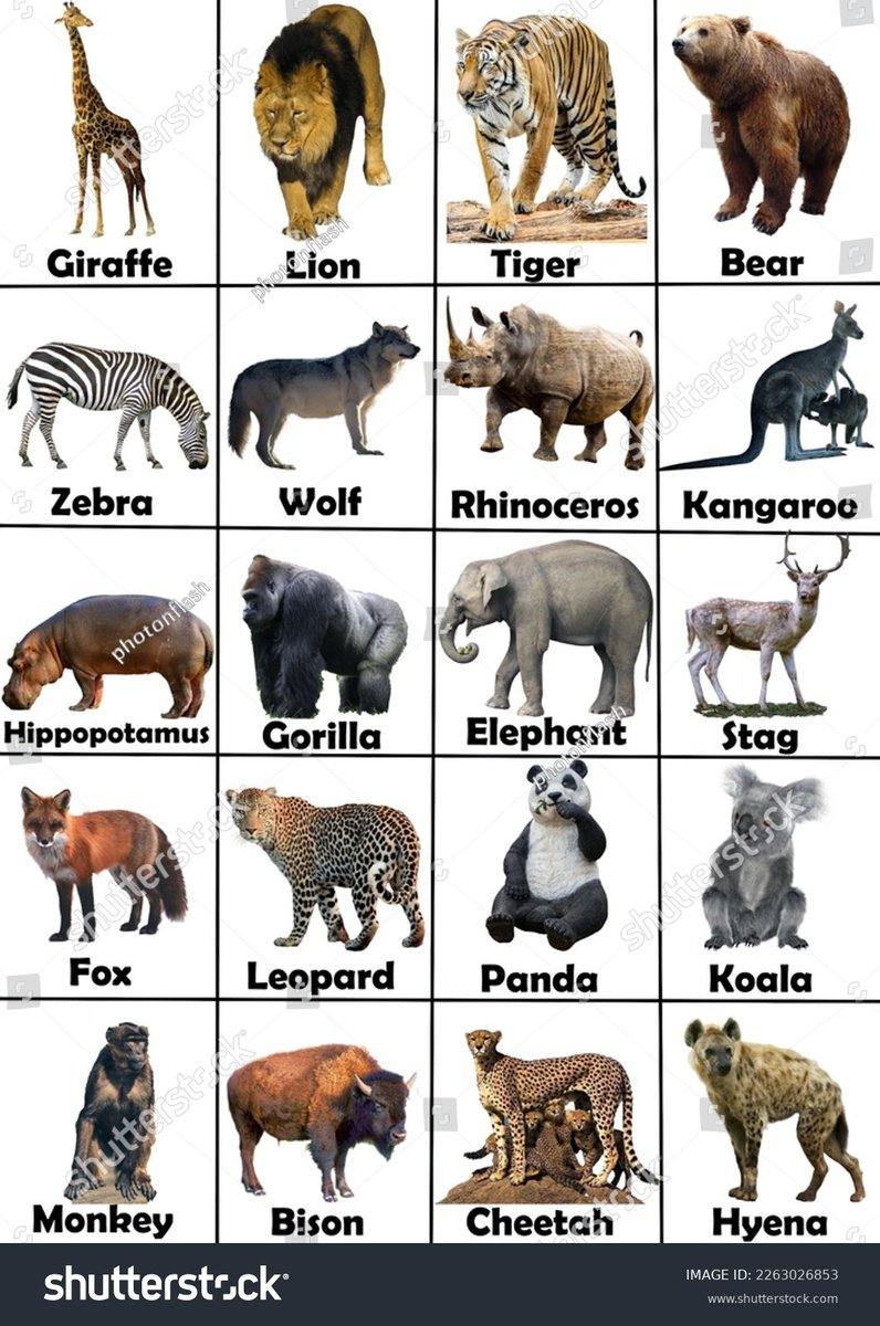BeardmorePhilip's tweet photo. @HOTMAGAX Carbon.
Which one is the elephant? The names are underneath, in case you get confused! https://t.co/MqslEcPSdQ