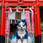 Photo by 狼月@next→Kemocon (@moonwolfen)