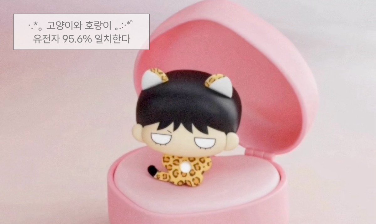 tigertatrang's tweet photo. 탯랑이 💗 https://t.co/0KwmBc1k44