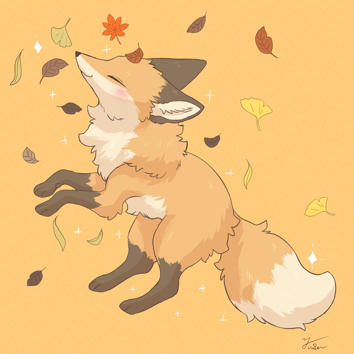 hashi00801's tweet photo. 秋の舞🍂🦊 https://t.co/WdoNhk9Psc