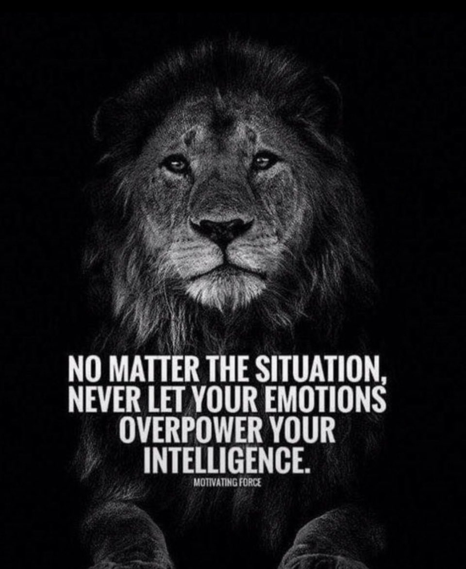 SiobhanQ17's tweet photo. https://t.co/AHS52VZe5V https://t.co/op1nGjyYMr